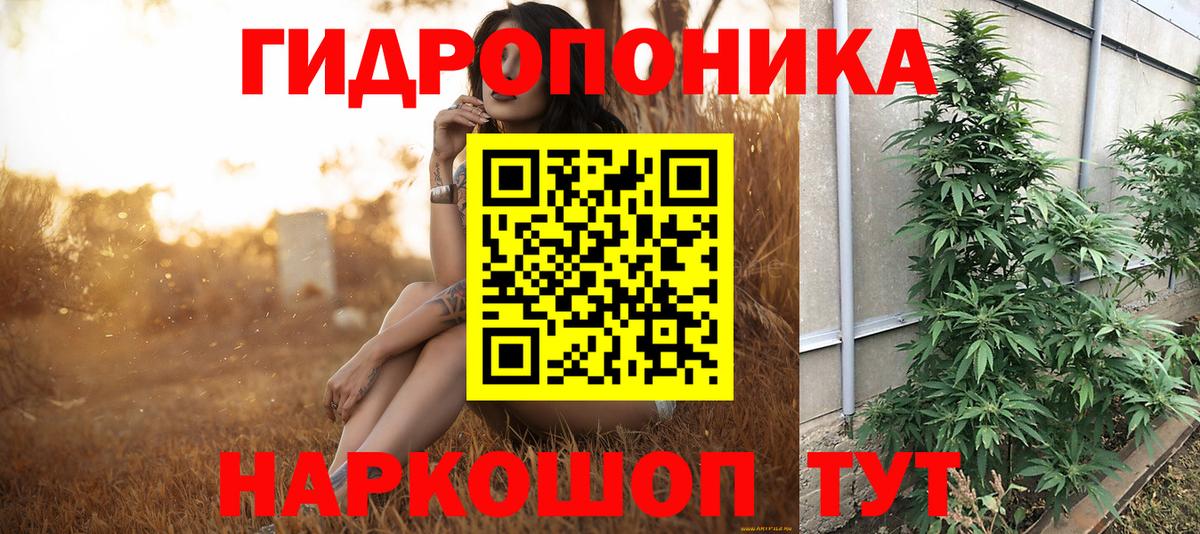 МАРИХУАНА Amnesia  Вход с VPN  Шишки марихуана ГИДРОПОН  МАРИХУАНА конопля  Тулун 